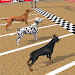 Dog Race Game: Dog Racing 3D icon