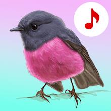 Bird Songs: Ringtones icon