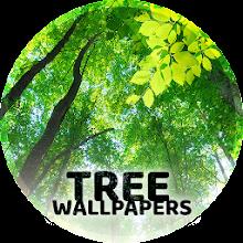 Wallpapers with trees 4K APK