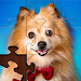 Sort Puzzle-Jigsaw APK