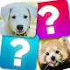 Trò chơi ghi nhớ: Động vậticon