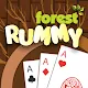 Remi 51 APK
