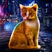 Stray Cat Game City Simulator icon