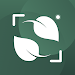 Nature Detect - Plant Identify icon