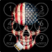 Skull Lock Screen APK