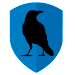 RiseupVPN icon