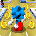 Blue Hedgehog Runner Dash icon