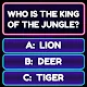 QuizzLand- Câu hỏi đố APK