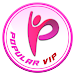 Popular VIP VPN icon