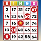 Bingo - Offline Bingo Games icon