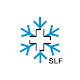 White Risk - SLF Lawinen-App icon