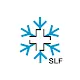 White Risk - SLF Lawinen-App APK