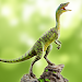 Compsognathus Simulator icon