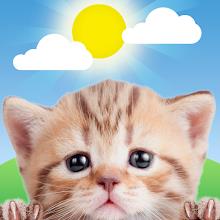 Weather Kitty - App & Widgeticon