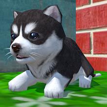 Cute Pocket Puppy 3D APK