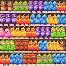 Triple Bird Match Master icon