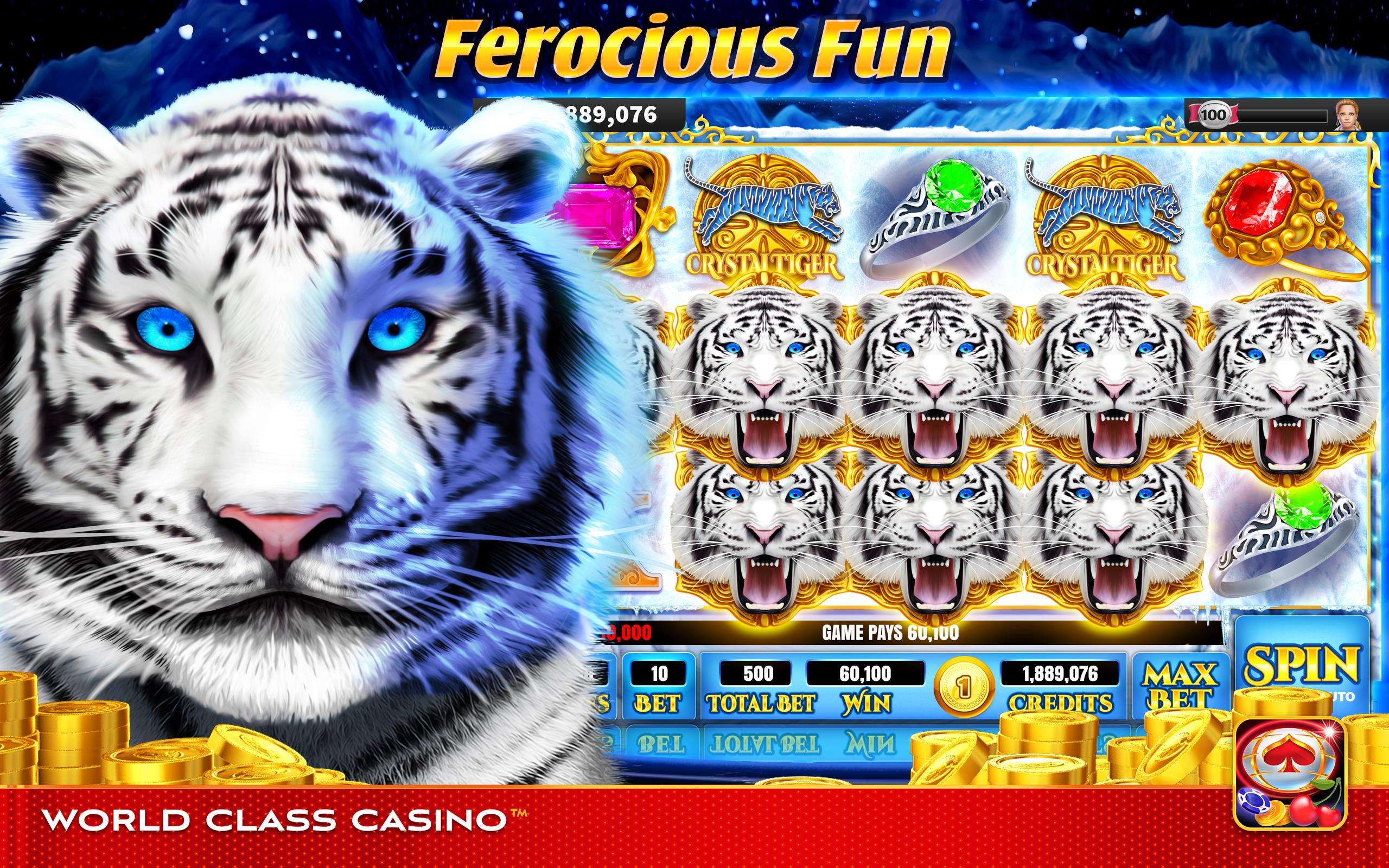 World Class Casino screenshot 17