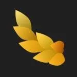 NYMF APK