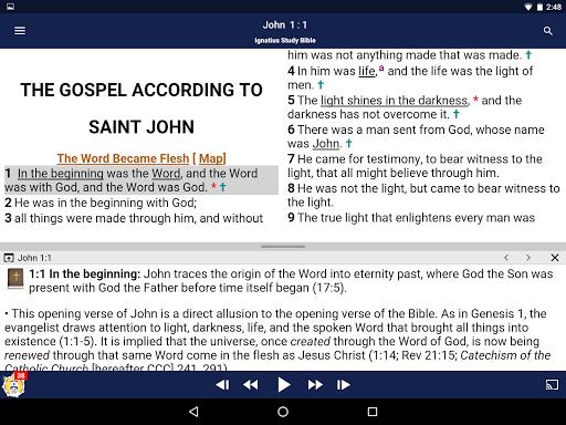Catholic Study Bible App screenshot 41