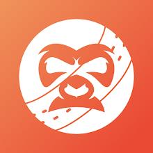 CricKong icon