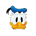 Donald Duckicon