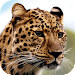 Leopard Wallpapers APK