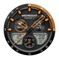 Fury Watch Face APK