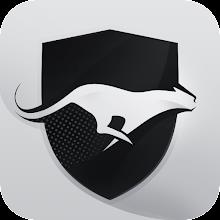 Run VPN icon