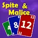 Super Spite & Malice card game icon