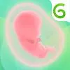Glow: Track. Shop. Nurture. APK