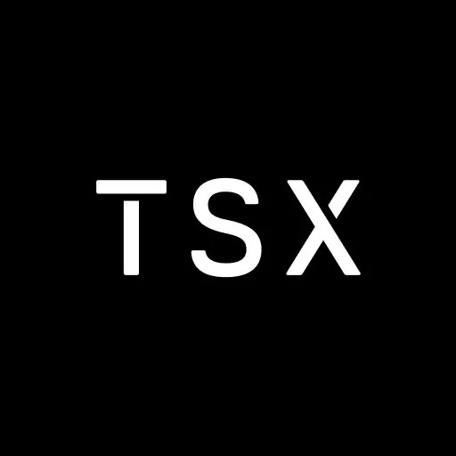 TSX icon