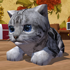 Cute Pocket Cat 3D icon