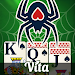 Vita Spider for Seniorsicon