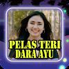 Pelas Teri Dara Ayu Full Album icon