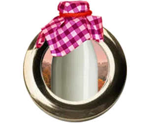 Holstein Girls icon