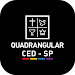 Quadrangular SPicon