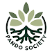 Pando Society icon