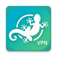 LinkVPN APK