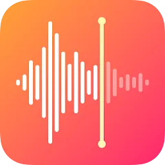 Voice Recorder &amp; Voice Memos APK