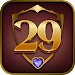 29 Royal Pro Card Game Offline icon