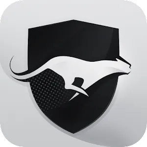 فیلتر شکن پرسرعت قوی - run vpn APK