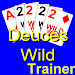 Video Poker - Deuces Wildicon