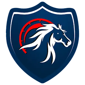 Amar VPN APK