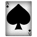 Call Break Card Game icon