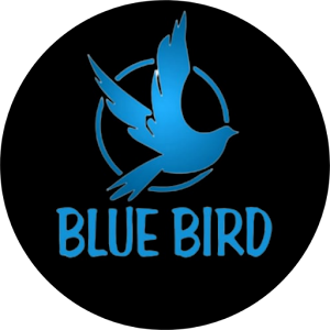 BLUE BIRD PRO - Secure VPN icon