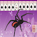 Spider Solitaire X icon