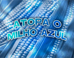 Atopa o Milho Azul icon