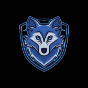 WOLF VIP VPN icon