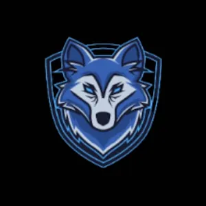 WOLF VIP VPN APK