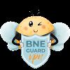 BNE Guard VPN by BNESIMicon